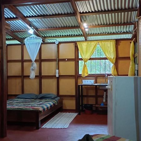 Cabinas Algebra Cahuita Εξωτερικό φωτογραφία