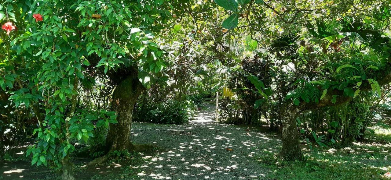 Cabinas Algebra Cahuita Εξωτερικό φωτογραφία