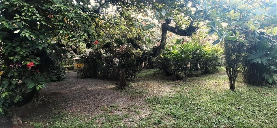 Cabinas Algebra Cahuita Εξωτερικό φωτογραφία